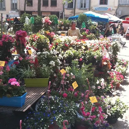 Carcassonne Wine Townhouse, Rue Barbes