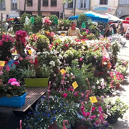 Carcassonne Wine Townhouse, Rue Barbes Διαμέρισμα